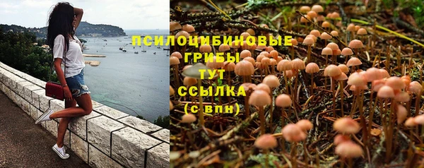 дмт Арсеньев